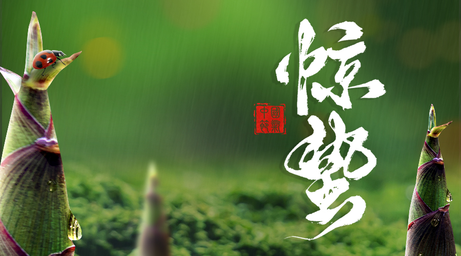 春雷醒万物，惊蛰启新程｜亿控智能与您共赴春光