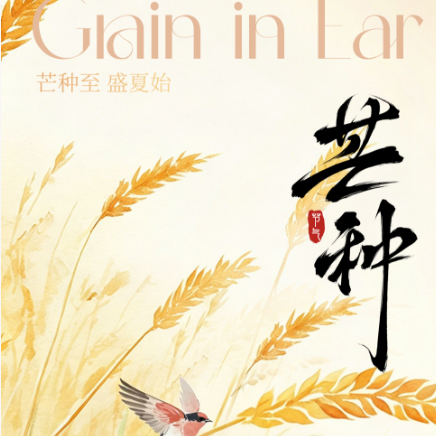 今日芒种 | 亿控智能：在忙碌的时节，种下从容的力量